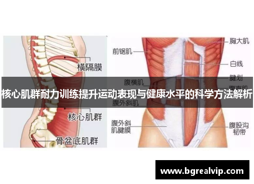 核心肌群耐力训练提升运动表现与健康水平的科学方法解析